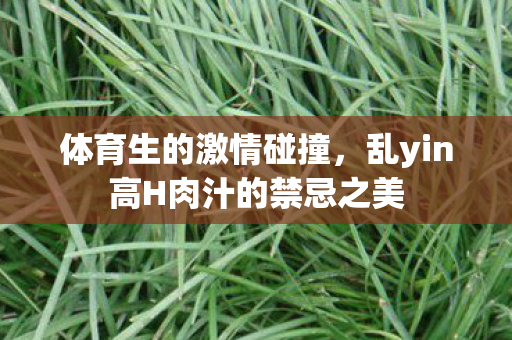 体育生的激情碰撞，乱yin高H肉汁的禁忌之美
