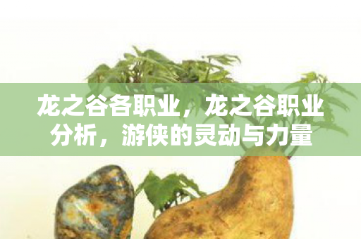 龙之谷各职业,龙之谷职业分析,游侠的灵动与力量 龙之谷各职业,龙之谷职业分析,游侠的灵动与力量
