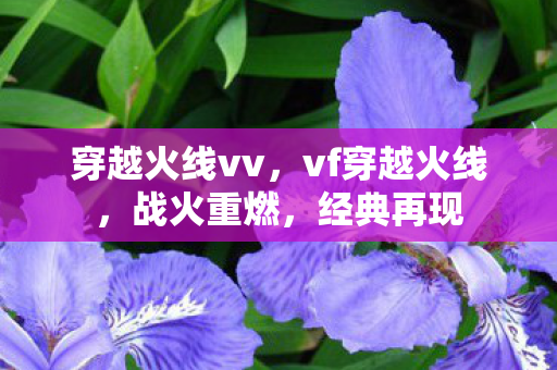 穿越火线vv,vf穿越火线,战火重燃,经典再现 穿越火线vv,vf穿越火线,战火重燃,经典再现