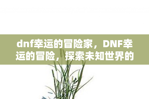 dnf幸运的冒险家,DNF幸运的冒险,探索未知世界的奇妙之旅 dnf幸运的冒险家,DNF幸运的冒险,探索未知世界的奇妙之旅