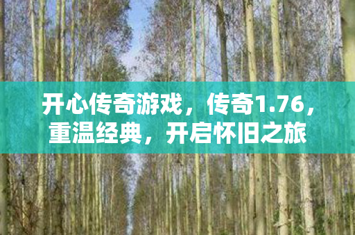 开心传奇游戏,传奇1.76,重温经典,开启怀旧之旅 开心传奇游戏,传奇1.76,重温经典,开启怀旧之旅