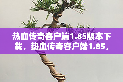 热血传奇客户端1.85版本下载,热血传奇客户端1.85,经典再现,情怀永存 热血传奇客户端1.85版本下载,热血传奇客户端1.85,经典再现,情怀永存