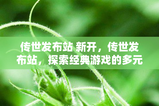 传世发布站 新开,传世发布站,探索经典游戏的多元发布平台 传世发布站 新开,传世发布站,探索经典游戏的多元发布平台