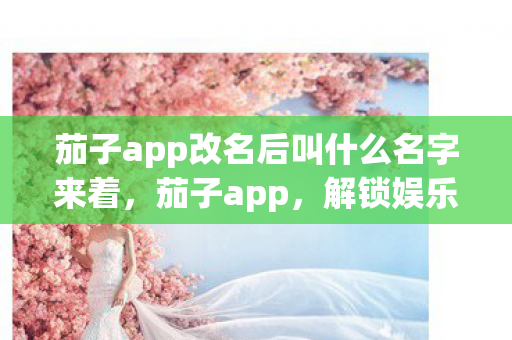 茄子app改名后叫什么名字来着,茄子app,解锁娱乐新方式,尽享高清影视与互动体验 茄子app改名后叫什么名字来着,茄子app,解锁娱乐新方式,尽享高清影视与互动体验