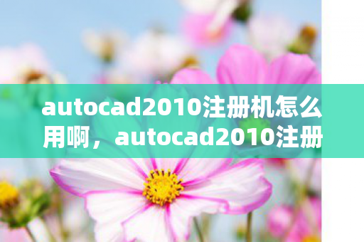 autocad2010注册机怎么用啊图片