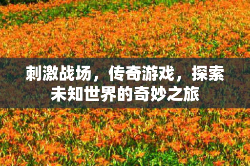 刺激战场,传奇游戏,探索未知世界的奇妙之旅 刺激战场,传奇游戏,探索未知世界的奇妙之旅