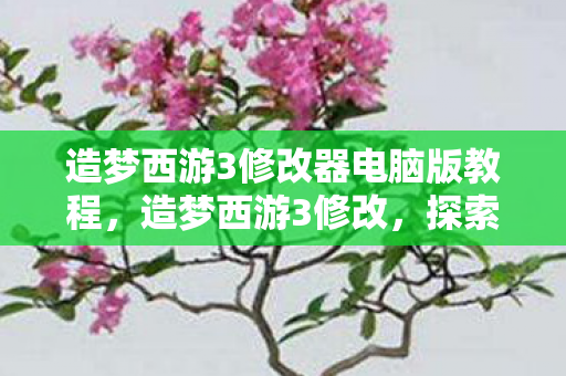 造梦西游3修改器电脑版教程,造梦西游3修改,探索无限可能的策略与技巧 造梦西游3修改器电脑版教程,造梦西游3修改,探索无限可能的策略与技巧