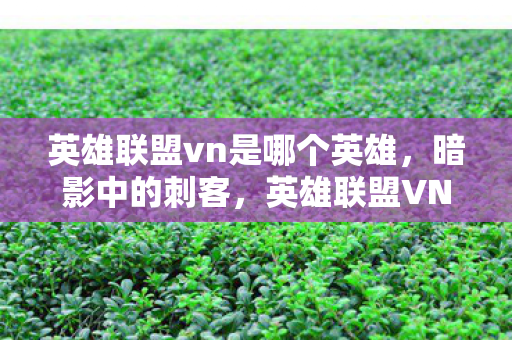 英雄联盟vn是哪个英雄,暗影中的刺客,英雄联盟VN的极致玩法解析 英雄联盟vn是哪个英雄,暗影中的刺客,英雄联盟VN的极致玩法解析