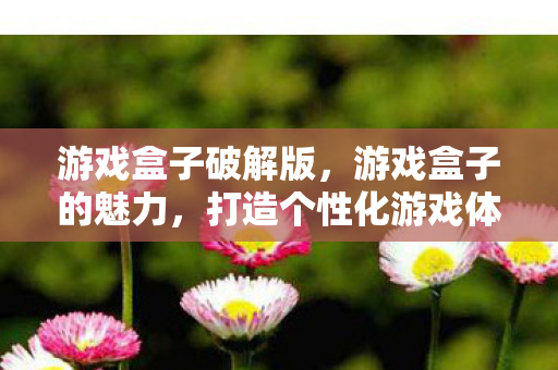 游戏盒子破解版,游戏盒子的魅力,打造个性化游戏体验 游戏盒子破解版,游戏盒子的魅力,打造个性化游戏体验