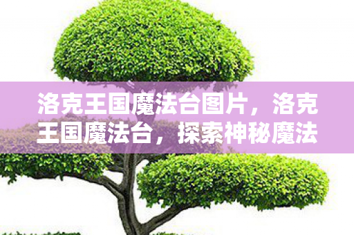 洛克王国魔法台图片，洛克王国魔法台，探索神秘魔法世界的奇幻之旅