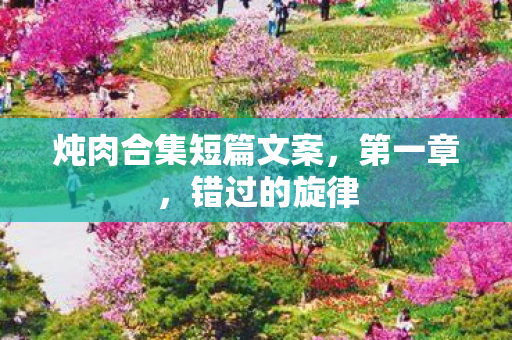 炖肉合集短篇文案，第一章，错过的旋律