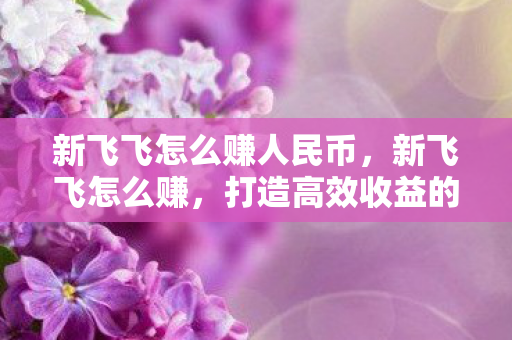 新飞飞怎么赚人民币，新飞飞怎么赚，打造高效收益的策略指南