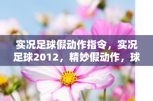 实况足球假动作指令,实况足球2012,精妙假动作,球场上的艺术 实况足球假动作指令,实况足球2012,精妙假动作,球场上的艺术