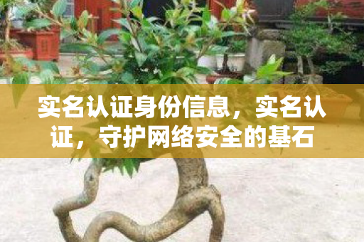 实名认证身份信息,实名认证,守护网络安全的基石 实名认证身份信息,实名认证,守护网络安全的基石