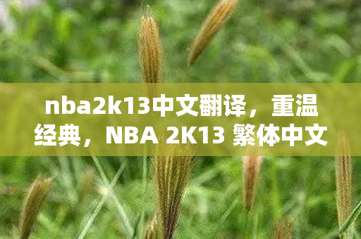 nba2k13中文翻译,重温经典,NBA 2K13 繁体中文硬盘版 nba2k13中文翻译,重温经典,NBA 2K13 繁体中文硬盘版