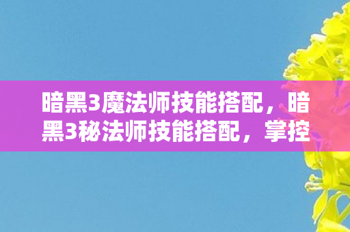 暗黑3魔法师技能搭配，暗黑3秘法师技能搭配，掌控元素，主宰战场