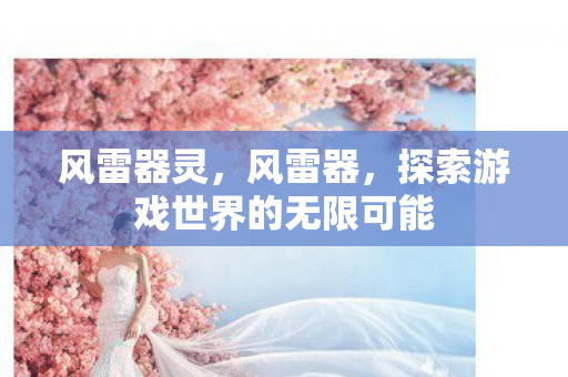 风雷器灵，风雷器，探索游戏世界的无限可能