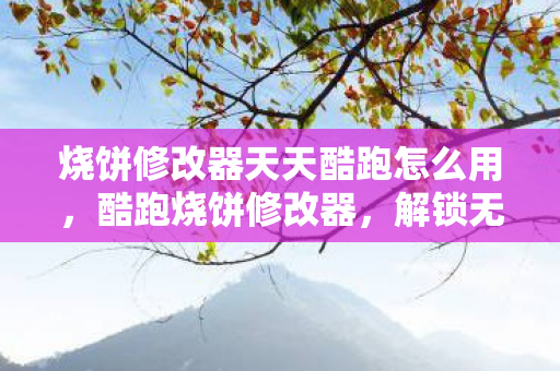 烧饼修改器天天酷跑怎么用,酷跑烧饼修改器,解锁无限可能的休闲游戏神器 烧饼修改器天天酷跑怎么用,酷跑烧饼修改器,解锁无限可能的休闲游戏神器