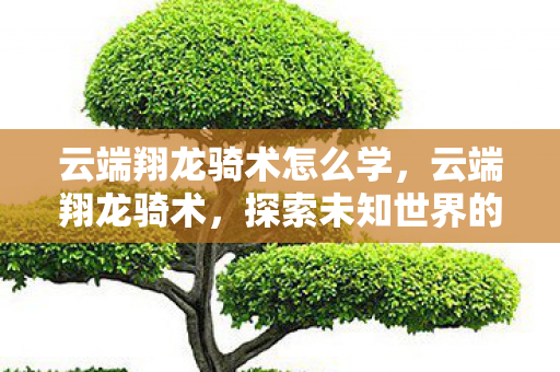 云端翔龙骑术怎么学，云端翔龙骑术，探索未知世界的奇幻之旅