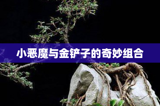 小恶魔与金铲子的奇妙组合 小恶魔与金铲子的奇妙组合