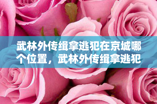 武林外传缉拿逃犯在京城哪个位置图片