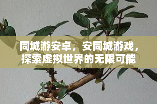 同城游安卓,安同城游戏,探索虚拟世界的无限可能 同城游安卓,安同城游戏,探索虚拟世界的无限可能