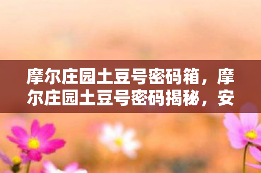 摩尔庄园土豆号密码箱,摩尔庄园土豆号密码揭秘,安全守护你的庄园之旅 摩尔庄园土豆号密码箱,摩尔庄园土豆号密码揭秘,安全守护你的庄园之旅