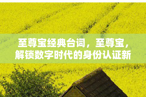 至尊宝经典台词,至尊宝,解锁数字时代的身份认证新篇章 至尊宝经典台词,至尊宝,解锁数字时代的身份认证新篇章