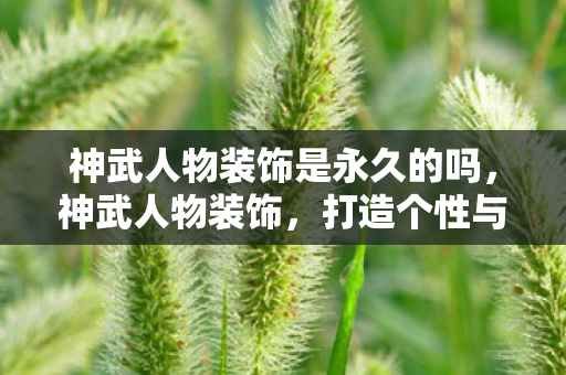 神武人物装饰是永久的吗,神武人物装饰,打造个性与实力的完美结合 神武人物装饰是永久的吗,神武人物装饰,打造个性与实力的完美结合