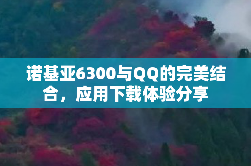 诺基亚6300与QQ的完美结合,应用下载体验分享 诺基亚6300与QQ的完美结合,应用下载体验分享