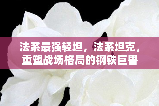 法系最强轻坦，法系坦克，重塑战场格局的钢铁巨兽