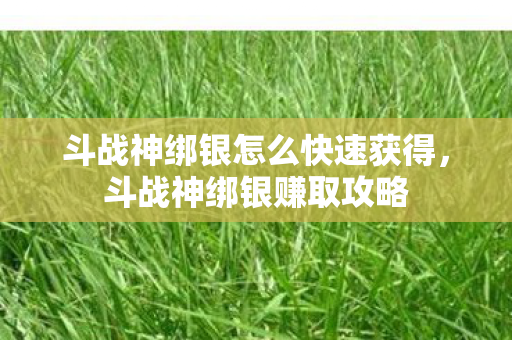 斗战神绑银怎么快速获得,斗战神绑银赚取攻略 斗战神绑银怎么快速获得,斗战神绑银赚取攻略