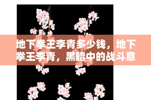 地下拳王李青多少钱，地下拳王李青，黑暗中的战斗意志