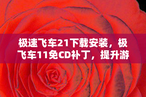 极速飞车21下载安装,极飞车11免CD补丁,提升游戏体验的实用工具 极速飞车21下载安装,极飞车11免CD补丁,提升游戏体验的实用工具