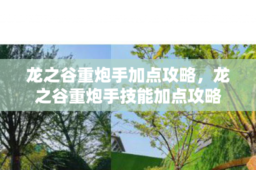龙之谷重炮手加点攻略,龙之谷重炮手技能加点攻略 龙之谷重炮手加点攻略,龙之谷重炮手技能加点攻略