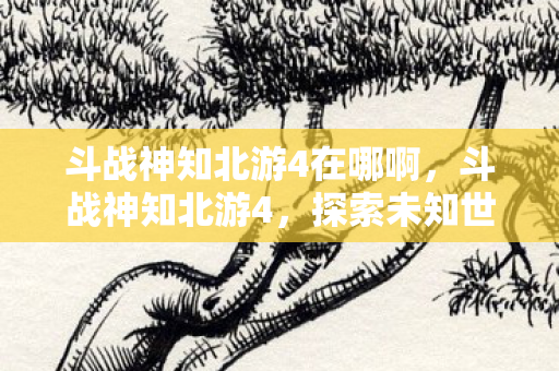 斗战神知北游4在哪啊,斗战神知北游4,探索未知世界的奇幻之旅 斗战神知北游4在哪啊,斗战神知北游4,探索未知世界的奇幻之旅