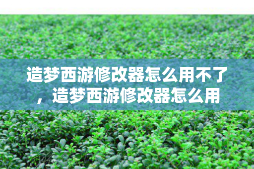 造梦西游修改器怎么用不了,造梦西游修改器怎么用 造梦西游修改器怎么用不了,造梦西游修改器怎么用