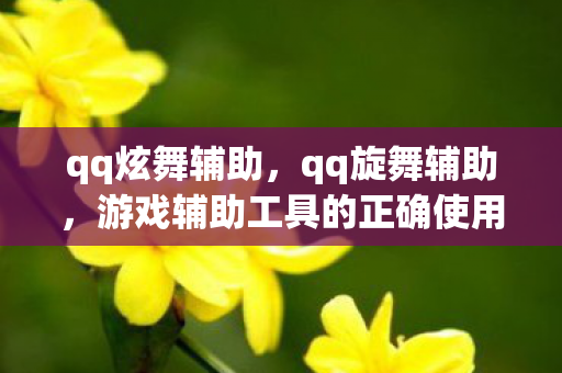 qq炫舞辅助,qq旋舞辅助,游戏辅助工具的正确使用与注意事项 qq炫舞辅助,qq旋舞辅助,游戏辅助工具的正确使用与注意事项