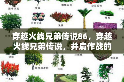 穿越火线兄弟传说86,穿越火线兄弟传说,并肩作战的荣耀与回忆 穿越火线兄弟传说86,穿越火线兄弟传说,并肩作战的荣耀与回忆