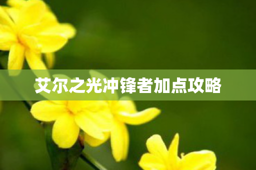 艾尔之光冲锋者加点攻略 艾尔之光冲锋者加点攻略