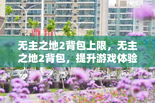 无主之地2背包上限，无主之地2背包，提升游戏体验的必备神器