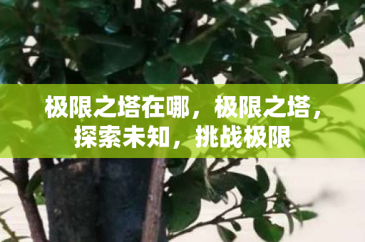 极限之塔在哪，极限之塔，探索未知，挑战极限