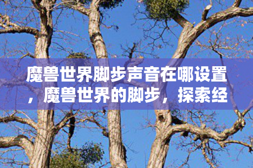 魔兽世界脚步声音在哪设置,魔兽世界的脚步,探索经典游戏的魅力与变迁 魔兽世界脚步声音在哪设置,魔兽世界的脚步,探索经典游戏的魅力与变迁