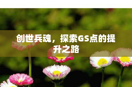 创世兵魂,探索GS点的提升之路 创世兵魂,探索GS点的提升之路