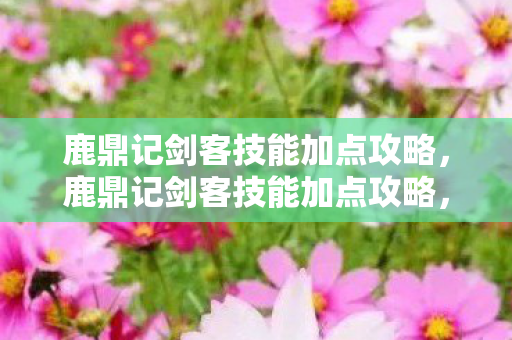 鹿鼎记剑客技能加点攻略,鹿鼎记剑客技能加点攻略,打造最强剑客 鹿鼎记剑客技能加点攻略,鹿鼎记剑客技能加点攻略,打造最强剑客