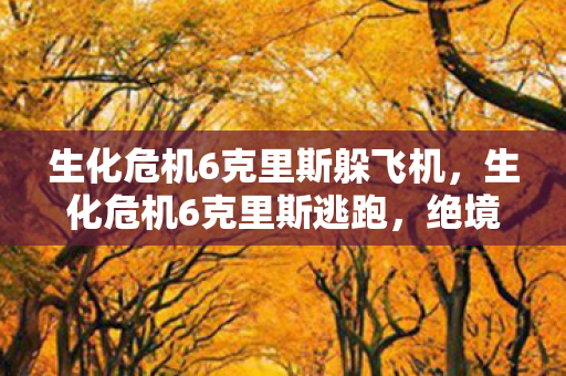 生化危机6克里斯躲飞机,生化危机6克里斯逃跑,绝境中的生死时速 生化危机6克里斯躲飞机,生化危机6克里斯逃跑,绝境中的生死时速