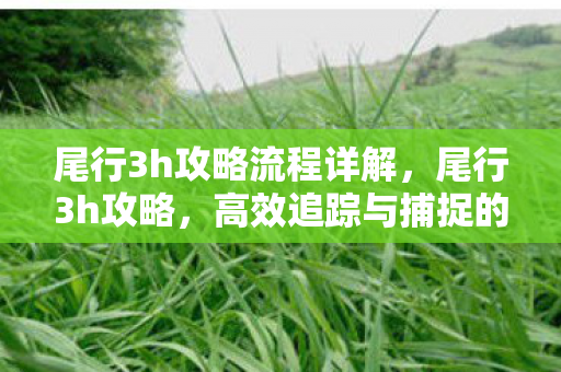 尾行3h攻略流程详解,尾行3h攻略,高效追踪与捕捉的实战技巧 尾行3h攻略流程详解,尾行3h攻略,高效追踪与捕捉的实战技巧