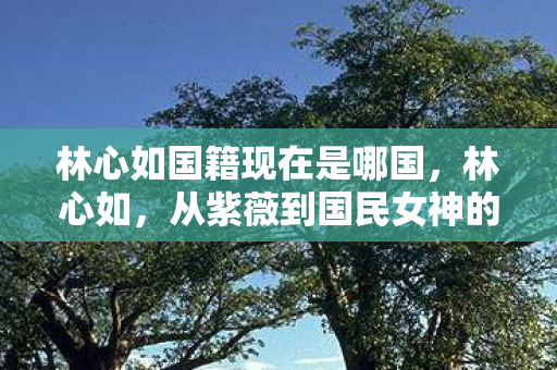 林心如国籍现在是哪国，林心如，从紫薇到国民女神的华丽蜕变