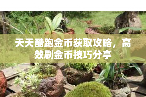 天天酷跑金币获取攻略,高效刷金币技巧分享 天天酷跑金币获取攻略,高效刷金币技巧分享