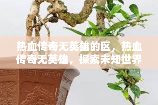 热血传奇无英雄的区,热血传奇无英雄,探索未知世界的勇者之旅 热血传奇无英雄的区,热血传奇无英雄,探索未知世界的勇者之旅